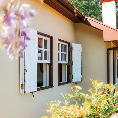 Feriehus Casa Da Avo Lina By Quantique